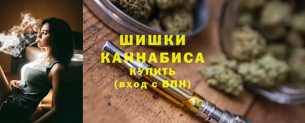 ПСИЛОЦИБИНОВЫЕ ГРИБЫ Михайлов