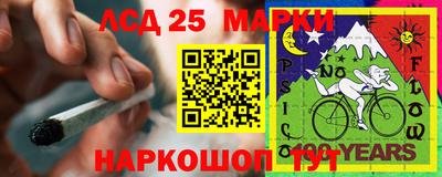 гидропоника Гатчина