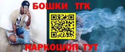 стафф Гай