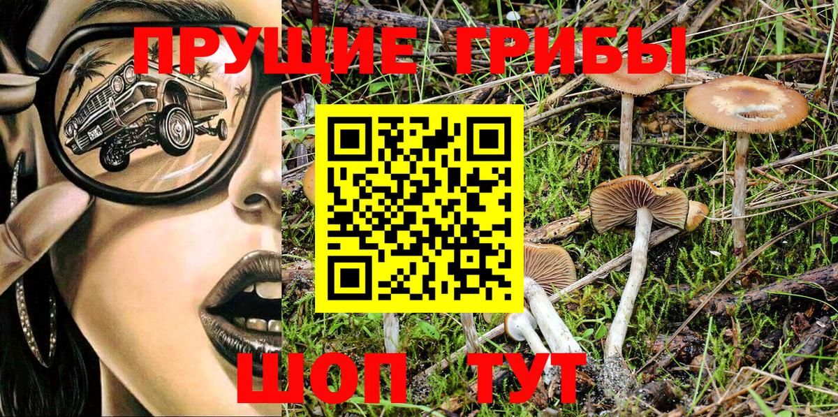 Галлюциногенные грибы GOLDEN TEACHER Донецк