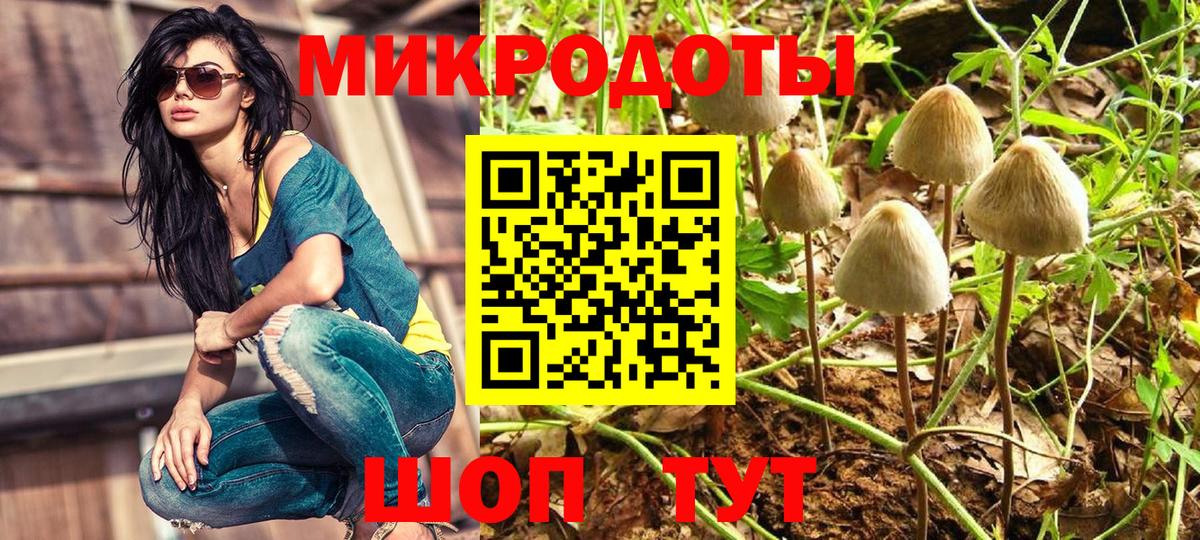 Донецк  как найти   Вход с VPN  Галлюциногенные грибы Magic Shrooms 